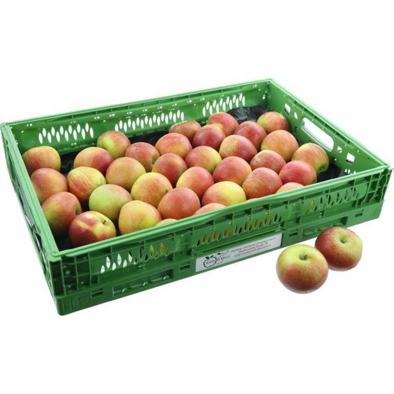 POMME TOPAZ 6,5KG